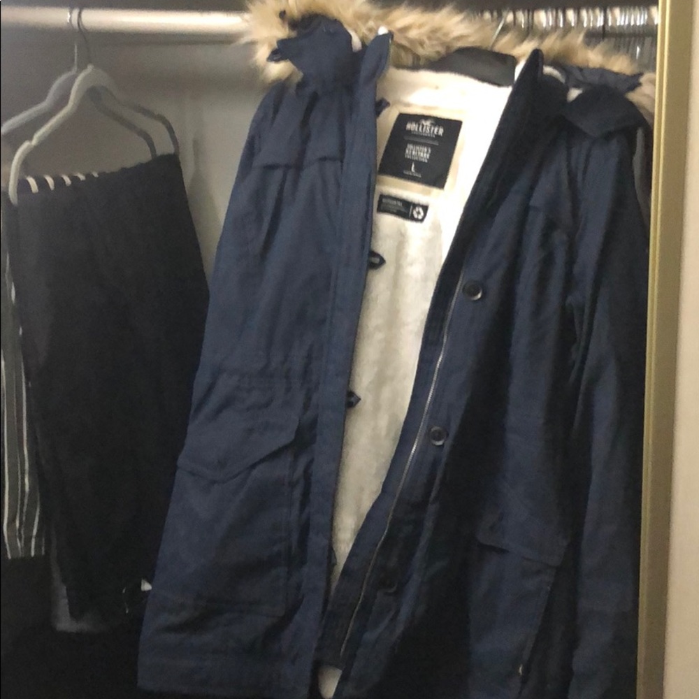 Hollister Parka (size L)